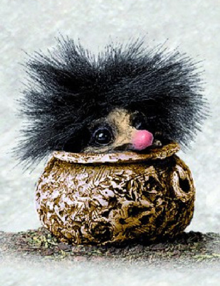 Troll i en lapskaus