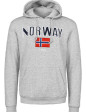 Norway Grey hoodie