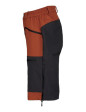 Pantalones cortos de senderismo de hombre gris/óxido