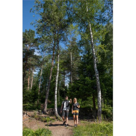 Women's hiking shorts white/navy